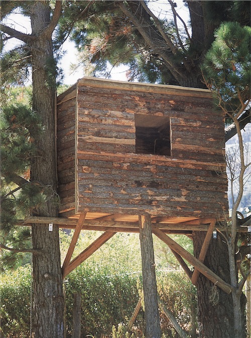 Build a Treehouse for Your Kids