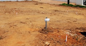 Pegs in place on a plot