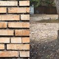 Tree Damage to Walls & Foundations – SANS10400-H Annex-D